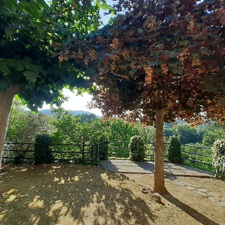 Villa Le Palmine Palazzone Bagian luar foto