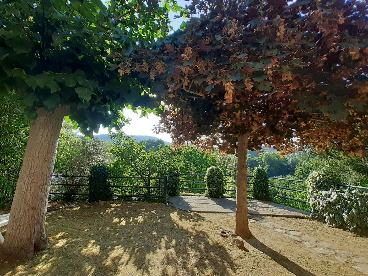 Villa Le Palmine Palazzone Bagian luar foto