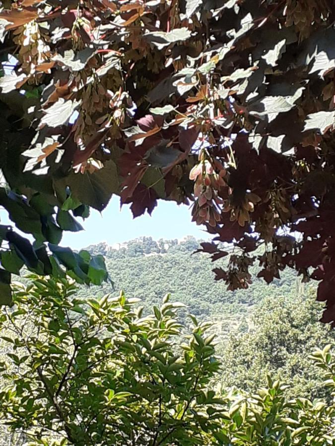 Villa Le Palmine Palazzone Bagian luar foto