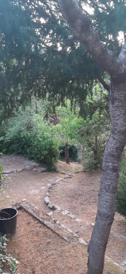 Villa Le Palmine Palazzone Bagian luar foto
